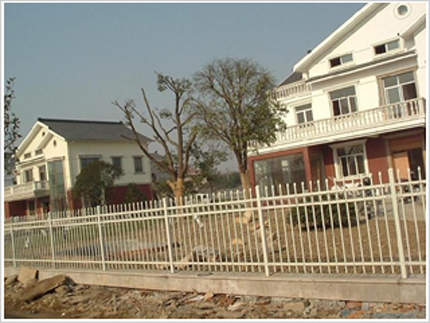 1554169420884815.jpg 20140328151317601.jpg